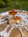 Collection Abricots