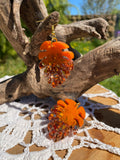 Collection Abricots