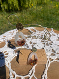 Collection noisette